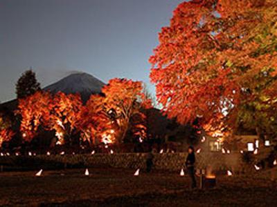 Guesthouse Sakuya Fujikawaguchiko Bagian luar foto